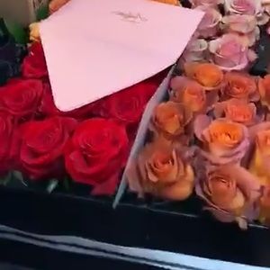 Meet your Posher, Melani